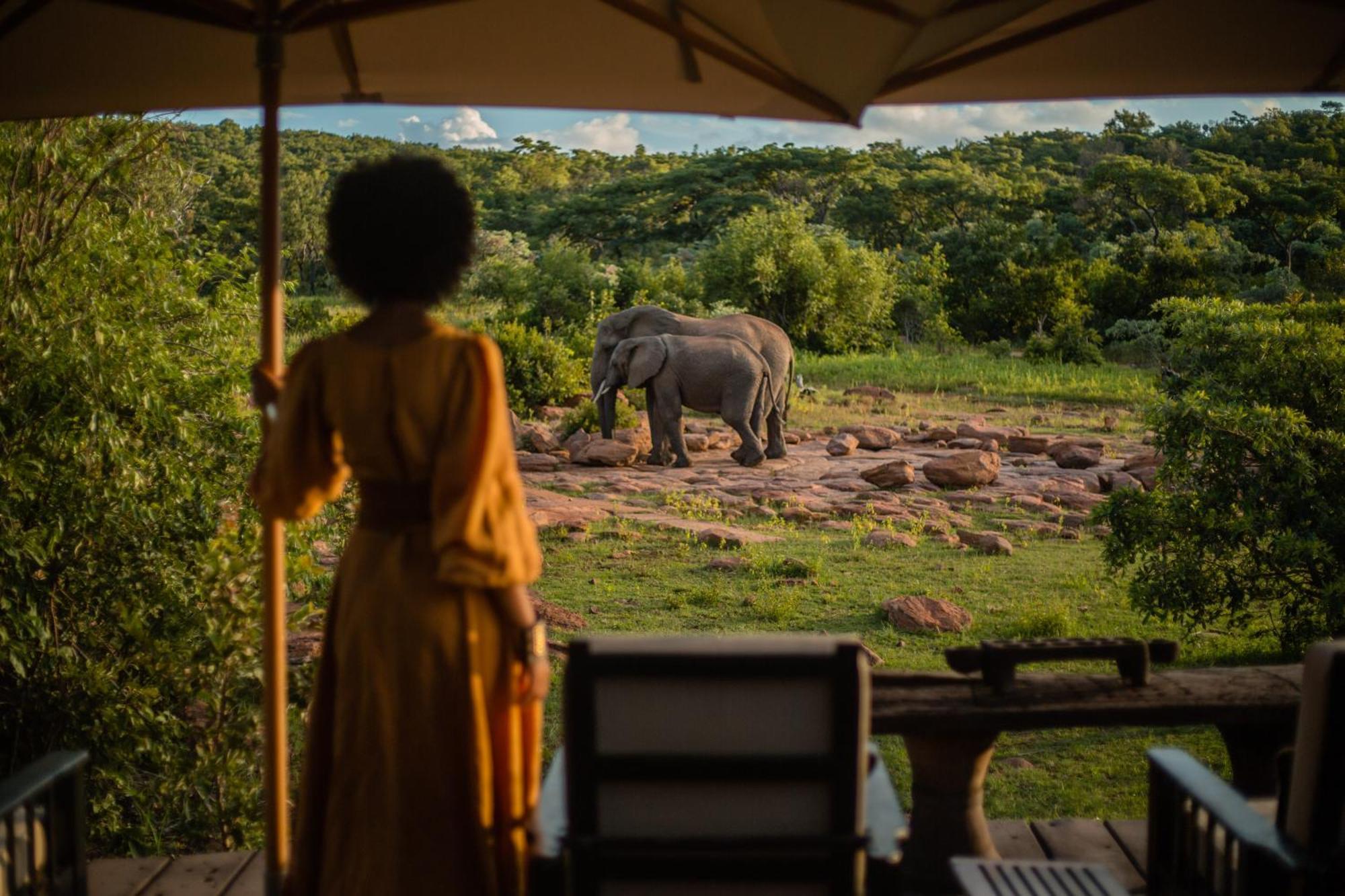 Makweti Safari Lodge Riserva Naturale di Welgevonden Esterno foto