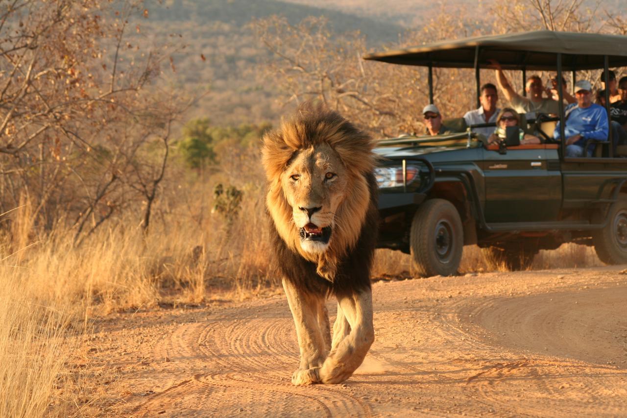 Makweti Safari Lodge Riserva Naturale di Welgevonden Esterno foto