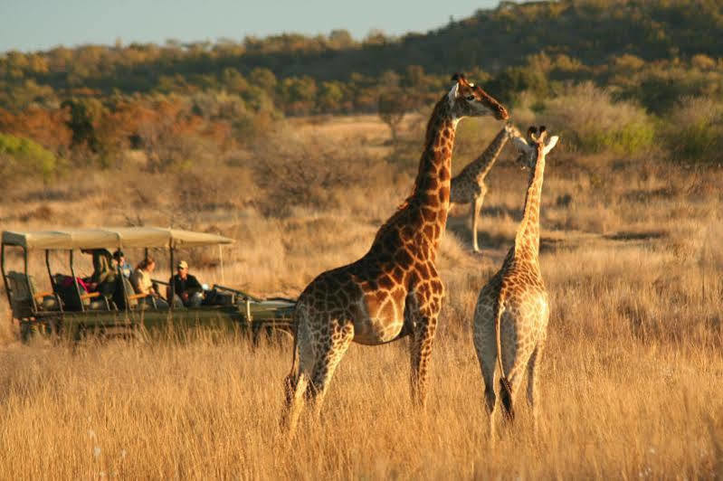 Makweti Safari Lodge Riserva Naturale di Welgevonden Esterno foto