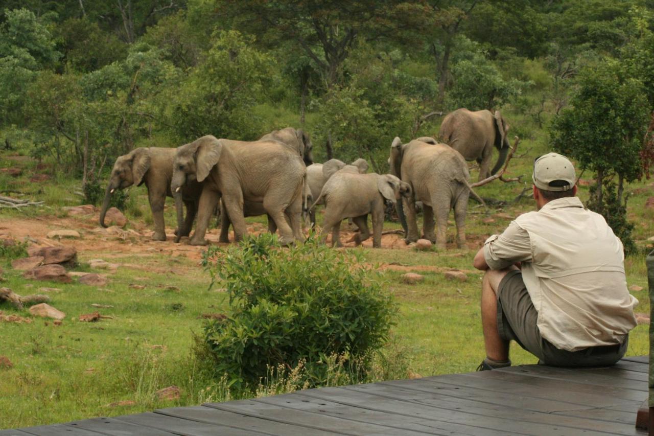 Makweti Safari Lodge Riserva Naturale di Welgevonden Esterno foto